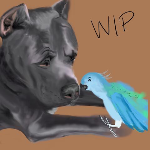 Pitbull and parrot work in progress