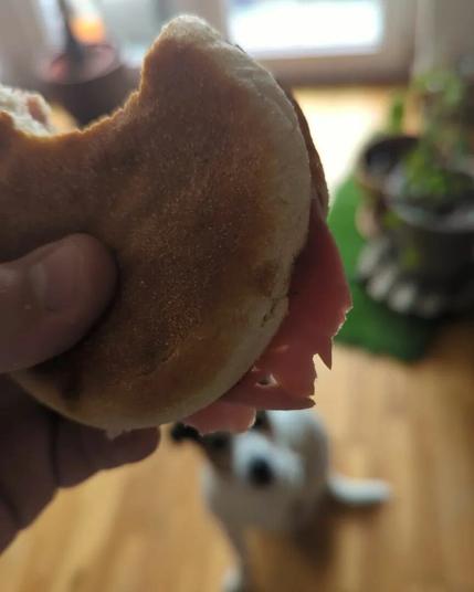 K9 laisse échapper un regard avide vers un classique intemporel : le muffin anglais au beurre demi-sel et au jambon ! 🍞🐶 Un plaisir simple qui ne déçoit jamais, et K9 le sait bien ! 😋🐾 #GourmandiseClassique #MuffinAnglais #BeurreDemiSel #Jambon #K9Derriere #TentationGourmande #PlaisirSimple #Chien #ChienAdorable #ChienHeureux #ChienMignon #AmourDeChien #ChiensDeToulouse #ToulouseDog #ToulouseChien #ToulouseLife #VieDeChienToulousain