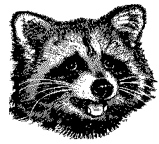Carnivore Felidae Whiskers Small to medium-sized cats Art Font Snout Illustration Terrestrial animal Wildlife