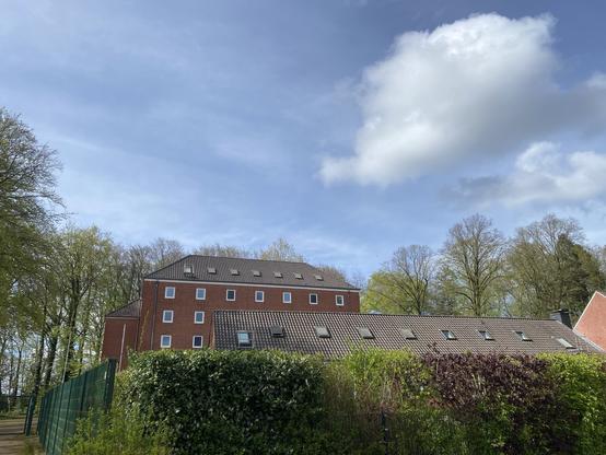 Foto von blauem Himmel mit zwei Wolken über dem Magazingebäude des Archivs, dahinter leicht belaubte Bäume, davor am unteren Bildrand eine Hecke
