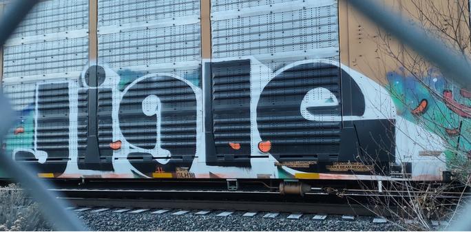 Train car with graffiti rolling through Kamloops BC Canada