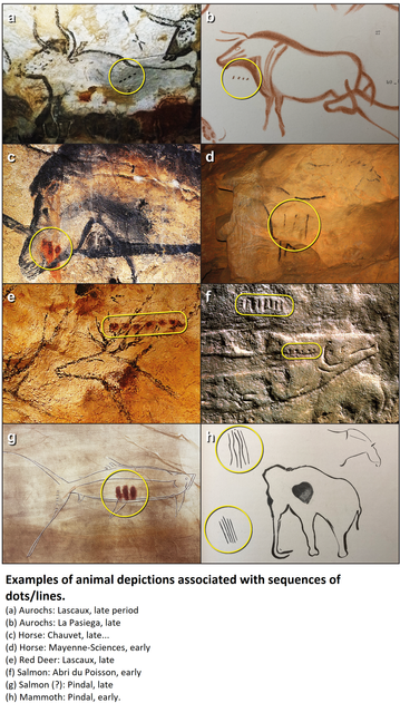 photos -  Examples of animal depictions associated with sequences of dots/lines. (a) Aurochs: Lascaux, late period; (b) Aurochs: La Pasiega, late; (c) Horse: Chauvet, late...; (d) Horse: Mayenne-Sciences, early; (e) Red Deer: Lascaux, late; (f) Salmon: Abri du Poisson, early; (g) Salmon (?): Pindal, late; (h) Mammoth: Pindal, early.