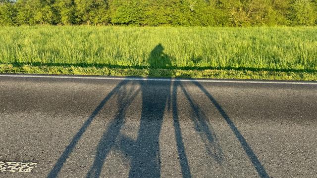 Schatten eines Radfahrenden auf Straße und Wiese nebenan ￼