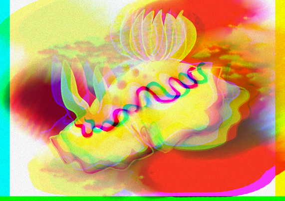 A chromatic abberant filtered nudibranch on coral.