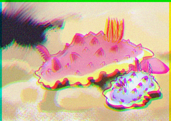 Two nudibranch on a rock underwater with extra colors smeared in.