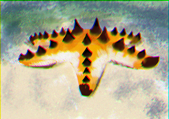 A chocolate sea star, a species that literally looks like a chocolate chip cookie with arms and legs.