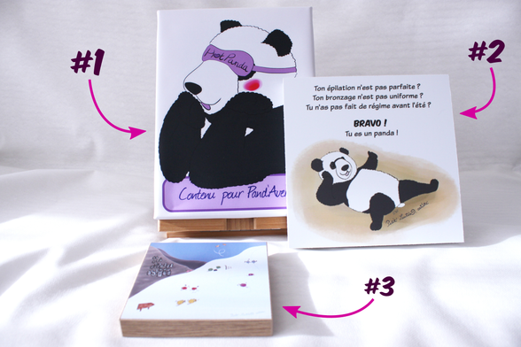 3 illustrations imprimées : la première est une toile imprimée qui représente le logo des HotPandas avec Moustache le panda qui fait "huhu" et il y a écrit "contenu pour pand'avertis", la deuxième est une plaque de PVC avec Moustache le panda qui est tranquille sur la plage, et il est écrit "Ton épilation n'est pas parfaite ? Ton bronzage n'est pas uniforme ? Tu n'as pas fait de régime avant l"été ? BRAVO ! Tu es un panda!", et la troisième est une petite plaque de faux bois avec des petites boules de fourrure colorées (des couilles) qui font du ski.