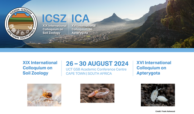 Screenshot of the official ICSZ2024 website.