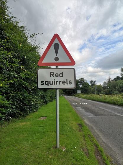 Wir stehen auf einem Grünstreifen neben einer Straße in Schottland. Vor uns ein Hinweisschild Achtung. Darunter noch ein Zusatzschild mit der Aufschrift &quot;red squirrels&quot;