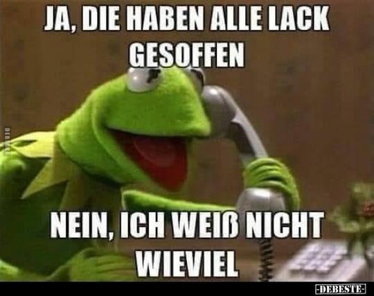 Meme featuring Kermit the Frog on the phone with German text captions expressing humorous conversation.