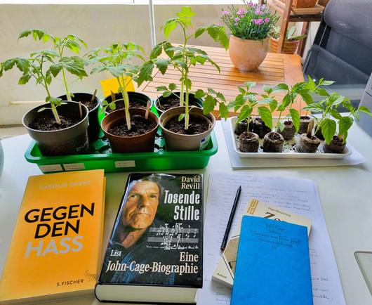 Auf meinem Schreibtisch selbst gezogene Tomaten- und Chilipflanzen, davor Bücher von und über John Cage und Zen, daneben 'Gegen den Hass' von Carolin Emcke. Draussen vor dem Fenster ein Topf mit Nelken auf dem Balkontisch. Es ist gerade sehr kalt und windig in München.