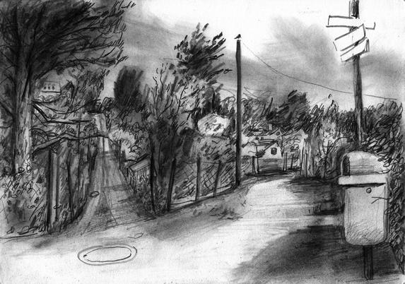 Drawing of a allotment garden area.