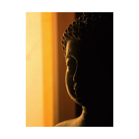 Color profile photograph of Buddha statue.