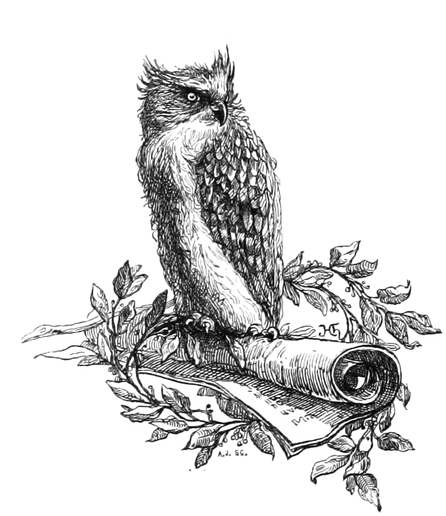 Drawing or etching from the British Library archive of public domain images. 

Depicts an owl perched atop a scroll with ivy loosely wrapped over it.