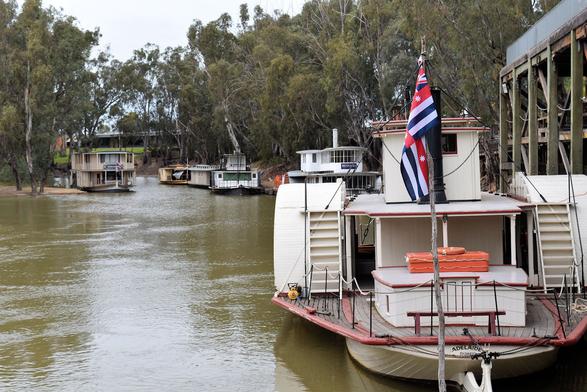 A murky brown river edged by many gum trees hanging over. There are a handful of s paddle steamers along the bank. The near one has two decks with paddle wheels on either side (or the covering of them). Ladders leaning on these provide access between the desk. The top level has a cabin where the ship is street and a large black funnel. The lower level has a flat area with a large box in the cente and a narrow bench seat at the very front where passengers can sit. At the front is a flag, hanging limp, with a Union Jack, blue & white stripes and a red cross with stars along it.
The paddle steamers are the back are mostly small, but one has large enclosed areas over two levels.