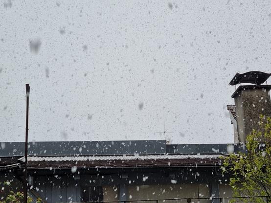 Foto eines Hauses und Himmel mit vielen dicken Schneeflocken (im April).