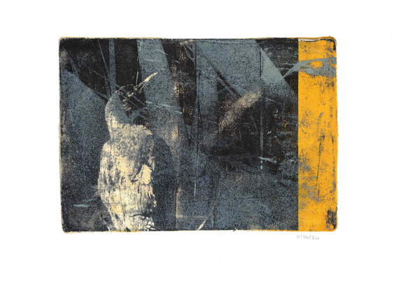 A composite of transfers with a corvid and grasses. The bird is seen on the back and looking up to the right. With an lighter semi-transparant overlay of enlarged grasses it almost seems to be in another world. The print is mostly black, greenish-grey and yellowish-white, with a deep yellow bar on the right where my gel plate was larger than the paper that held the photo of the bird. This wasn't a planned print, I just needed to offload paint and use up laserprints, but for some reason I like it.