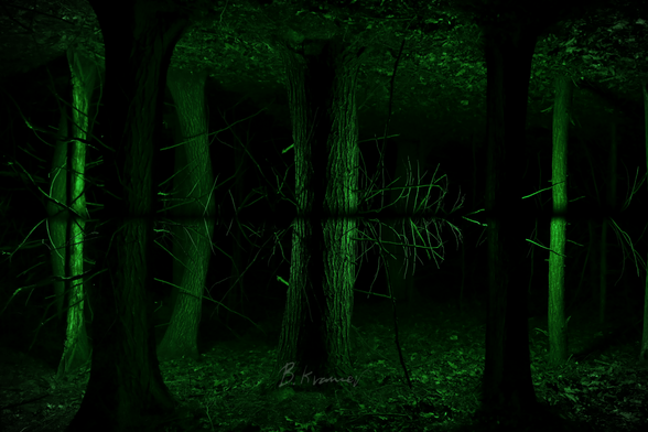 A ground-to-ground mirrored photo of tree trunks at night, lit from behind with green flashes. At the bottom of the frame is leaf-covered forest floor, and tree trunks extending upwards to the center of the frame. From there, it is a reflection of the bottom half, resulting in the ground being at the top of the frame as well.