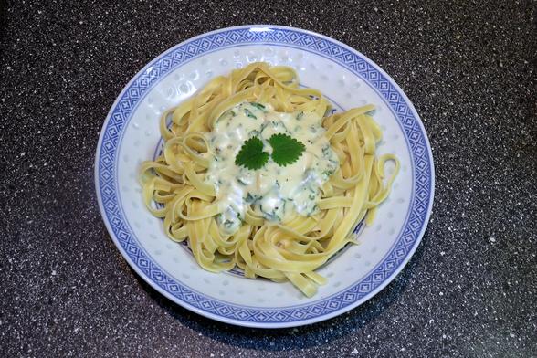 Ein Teller mit Tagliatelle, bedeckt mit einer cremigen Soße, die grüne Kräuter enthält. Obenauf liegen zwei frische Brennnesselblätter als Garnierung. Der Teller hat einen blauen Rand mit einem dezenten Muster und steht auf einer Arbeitsplatte mit Granitoptik.