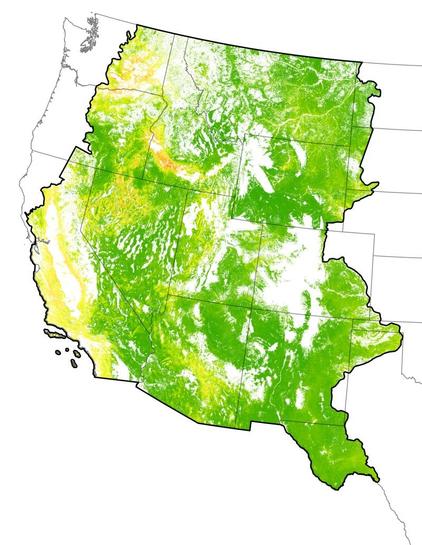 overview map - US West- Early Estimates Of Exotic Annual Grass (EAG) In The Sagebrush Biome, USA, 2024 (ver. 1.0, April 2024)