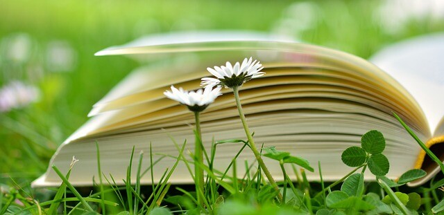 Aufgeschlagenes Buch auf einer Wiese.
Bild von congerdesign auf Pixabay.