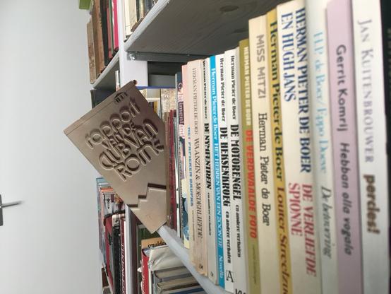 Shelf with various books, one titled "Report of the Club of Rome" is falling out. Image is rotated with a skewed perspective along a series of Herman Pieter de Boer novels.