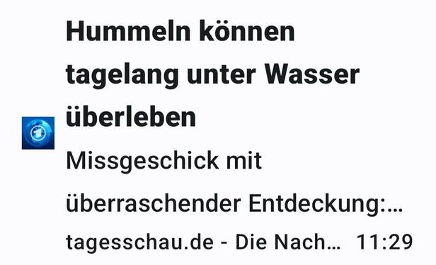 Bildschirmfoto vom Text.
