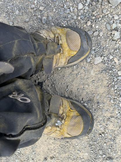 Boots that were yellow with goldfields pollen