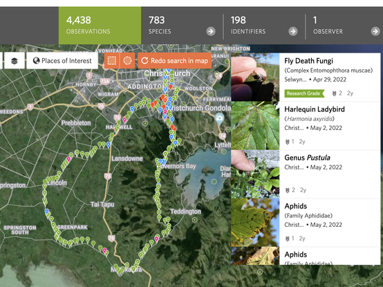 A screenshot of the iNaturalist website showing my personal best effort so far in a City Nature Challenge, 4,438 observations of 783 species (over the four days of the 2022 challenge).

https://inaturalist.nz/observations?project_id=122203&ttl=900&place_id=any&verifiable=any&user_id=1115