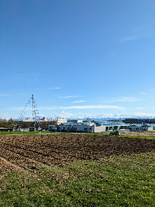 Pea field at ETH Zurich field station with the sowing machine and a tower of the field phenotyping platform in the back
