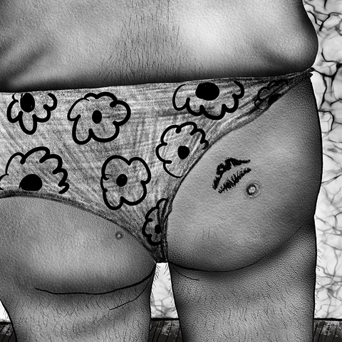 L'illustration en noir et blanc d'un cul couvert d'une culotte. La culotte a dessus des dessins de fleurs. Les fesses ont deux boutons qui ressemblent à des verrues, et une empreinte de lèvres au rouge à lèvres. Dessin par Cécile Laciancio.