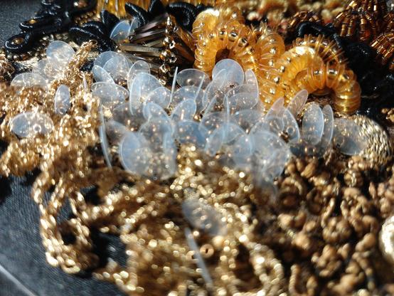corals embroidered with beads and sequins