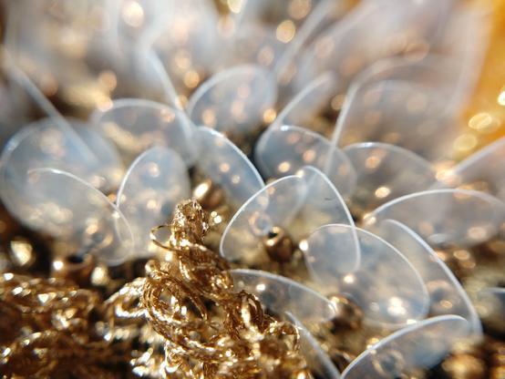 corals embroidered with beads and sequins