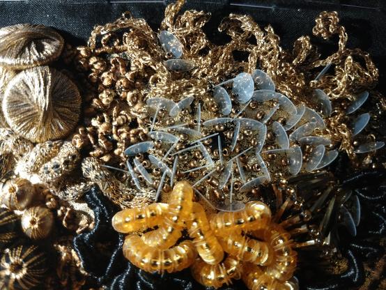 corals embroidered with beads and sequins