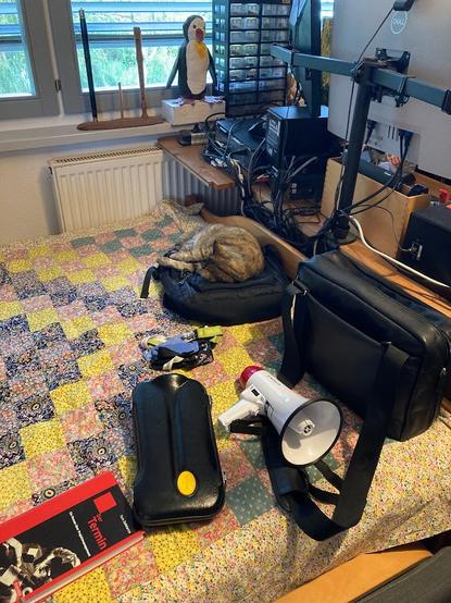 Ein Bett mit Tagesdecke, darauf viele verschiedene Sachen, ein Megaphon, Katze auf einem Ricksack, Musikertasche, Klarinettenetui, Computerbildschirme von hinten...