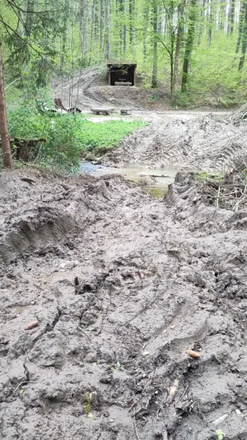 Vom Vollernter aufgewühlter und völlig zerstörter Waldweg mit metertiefen Fahrspuren.
Im Hintergrund der Krebsbach, durch den ebenfalls ohne Rücksicht auf Flora, Fauna und Ökosystem gefahren wurde.