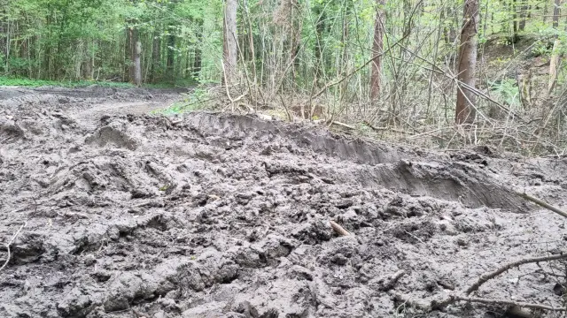 Vom Vollernter aufgewühlter und völlig zerstörter Waldweg mit metertiefen Fahrspuren.