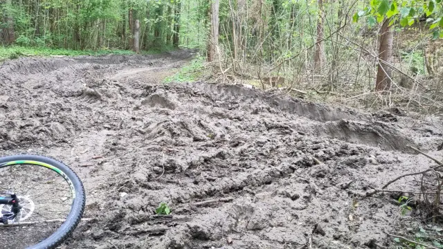 Vom Vollernter aufgewühlter und völlig zerstörter Waldweg mit metertiefen Fahrspuren.
Links sieht man das Vorderrad von meinem Hardtail.