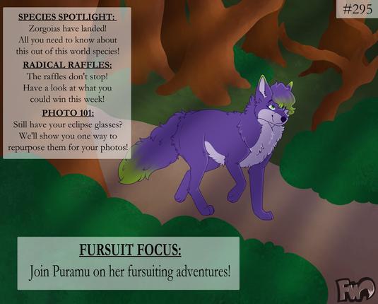 Cover of Furry Weekly Issue 295, featuring Puramu the purple fox walking through a forest. Art by lil.fur.bean on Instagram