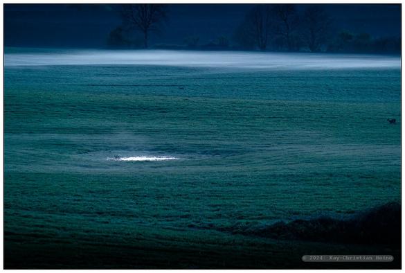 Bodennebel steigt in der blauen Stunde am Abend aus den nassen Feldern auf und überzieht das Land in der Dämmerung mit einem silbrigen Schimmer, betont durch die raffende Wirkung eines Teleobjektivs.