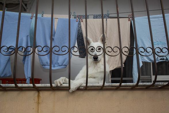 Workshop in Prague, 19-21 April, 2024 : 
<a href="https://www.burnmyeye.org/news/2023/12/11/street-photography-workshop-with-dimitris-makrygiannakis-in-prague-czech-republic-19-21-april-2024" rel="noreferrer nofollow">www.burnmyeye.org/news/2023/12/11/street-photography-work...</a>

<a href="http://ngravity.photography/" rel="noreferrer nofollow">ngravity.photography/</a>

<a href="https://www.instagram.com/dimitrismakrygiannakis/" rel="noreferrer nofollow">www.instagram.com/dimitrismakrygiannakis/</a>