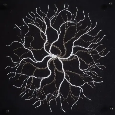 A black picture frame with a square piece of embroidery. White & grey threads depict a branching pattern emerging from the center.