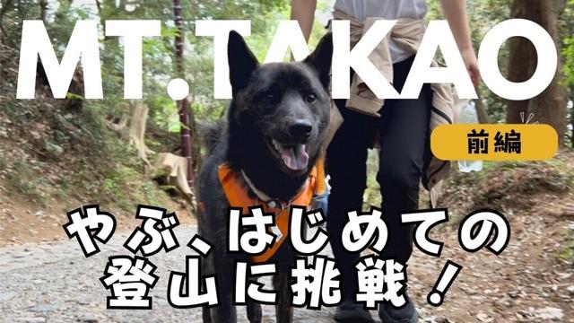 【甲斐犬】やぶ、初めての登山で『高尾山』に挑戦！前編