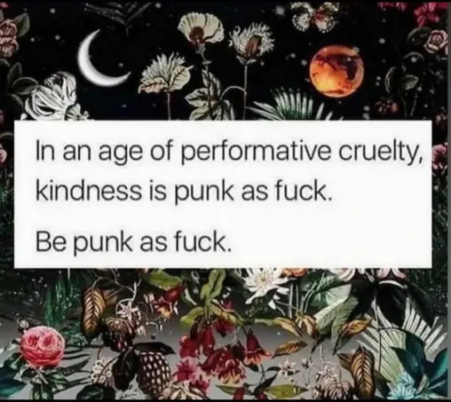 text over cutesty flowers and nature

it reads: "in an age of performative cruelty, kindness is punk as fuck. be punk as fuck"