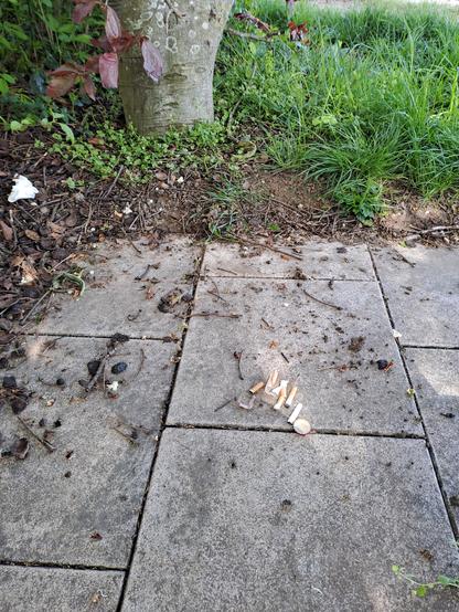 weggeworfene #Kippenstummel auf Steinplatten im Berecih einer Sitzgruppe
#Umweltverschmutzung