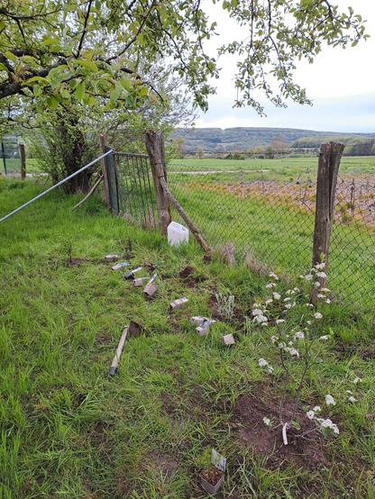 #Pflanztag 
Stauden, Sträucher und bäume am Zaun, im Hintergrund ein Feld und eine Weg