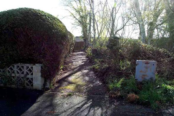 On the left hand side is a very big hedge - this belongs to the house on the left.  There is a sunlit path which got cleared yesterday.  On the right is the rough ground referred to in the toot.