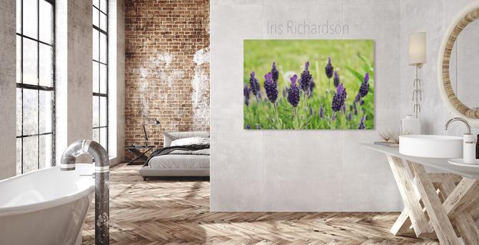 Topped Lavender flower macro photograph in bathroom setting - the topped lavender plant is a short, woodie evergreen plant with dark purple cone-shaped flowers that have medium purple ears on top. This is where their name derived from. This lavender plant is lush and bushy with lots of tall lavender flowers. The lavender leaves are medium to dark green where whereas the background a bright lime green. The dark purple flower creates a beautiful contrast with the lime green background. Lavender flowers represent purity, silence, devotion, serenity, grace, and calmness. Artist Iris Richardson, Gallery Pictorem, and ArtHero