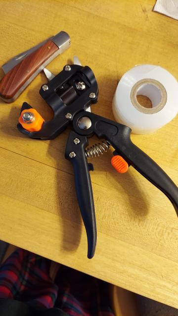 An arborist's knife,  a graft notching tool, and graft tape sitting on the kitchen table.