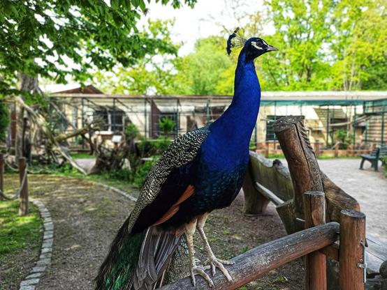 Tierpark Eilenburg